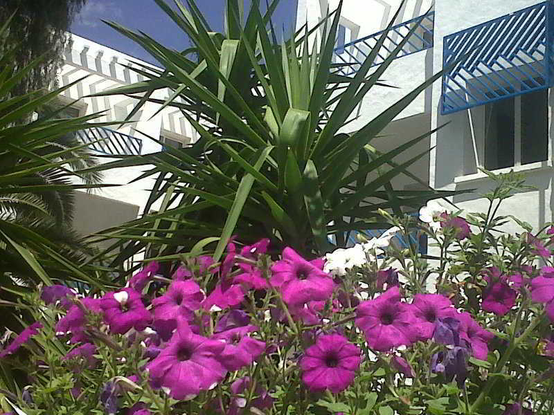 La Paix 2* Hammamet